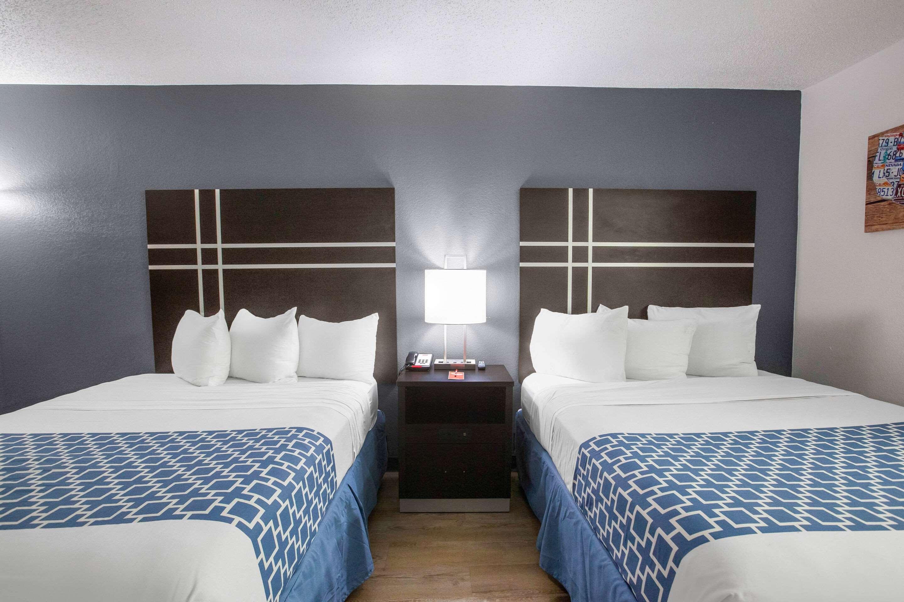 Lodge Econo *